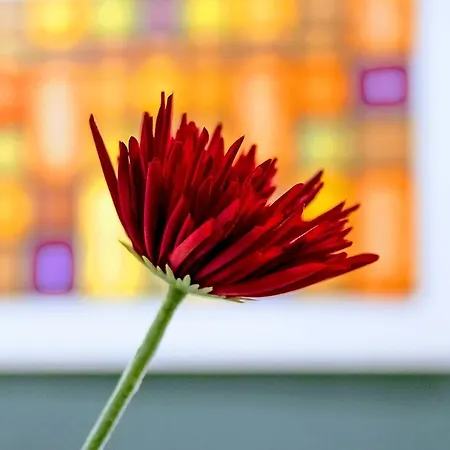 Yhome | Stylish Chic 都灵