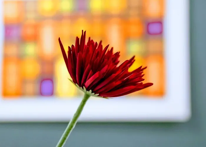 Yhome | Stylish Chic Turin